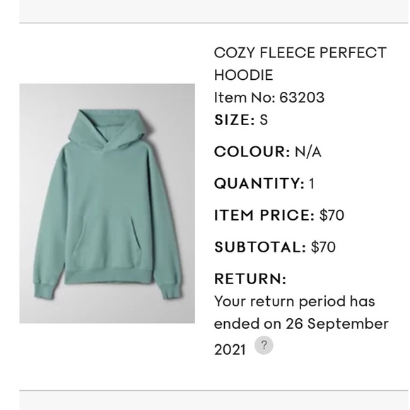 Aritzia Tops - LIKE NEW aritzia cozy fleece perfect hoodie